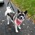 Yvonne Miller's profile image