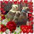 Ava Heidi Druckman's profile image