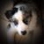 Dalyce Brell's profile image