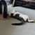 Lorry Sandry Schoppers's profile image