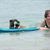 Louise Scheibel's profile image