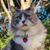 Kym Self's profile image