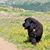 Laurie Bowman Dusenberry's profile image