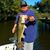 Steve Vick's profile image
