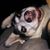 Maureen ODonnell's profile image