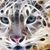 Wendy Wingate's profile image