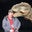 Joel Thurston's profile image