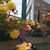 Marge Ludecke's profile image