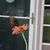 Beverly Whitaker McInerney's profile image