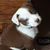 Terri Reed's profile image
