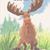 Denise Ostrander's profile image