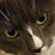 Meredith Callahan's profile image
