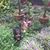 Karen J Moore's profile image