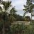 Donna Jones Warren's profile image