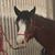 Mary Kay McCabe's profile image