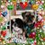 Karen Edwards's profile image