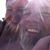 Stephanie Young's profile image