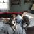 Maryann Johnson's profile image