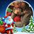Sandra Fortune Elmore's profile image