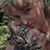 Kimberly Rice's profile image