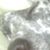 William Berkowitz's profile image