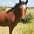 Sergio Vanesa's profile image