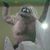 Clint Moser's profile image