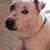 Fradelle Milrad's profile image