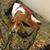 Justin Klugh's profile image