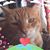 Cathy Shepherd's profile image