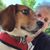 Sue Peyer's profile image