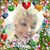 Dorothy Reedy's profile image