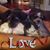 Cindy Polster's profile image