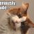 Terri Oman's profile image