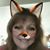 Holly Beard's profile image