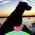 Jp Louviere's profile image