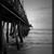 Shannon Branchaud's profile image