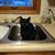Carol Christofferson's profile image
