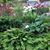 Lynn Steffes's profile image