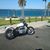 Peter Amnell's profile image