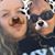 JoAnne DeMarco Frye's profile image