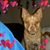 Stephanie Lyn Jagello's profile image