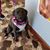 Lucy Dobson's profile image