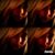 Gwenaëlle Isorez's profile image