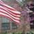 Linda Hallgren McLean's profile image