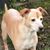 Aimee Kibodeaux's profile image
