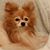 Leslie Volp's profile image