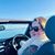 Sarah Cotterill's profile image