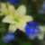 Elaine Beaman's profile image