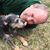 Bill Dawes's profile image